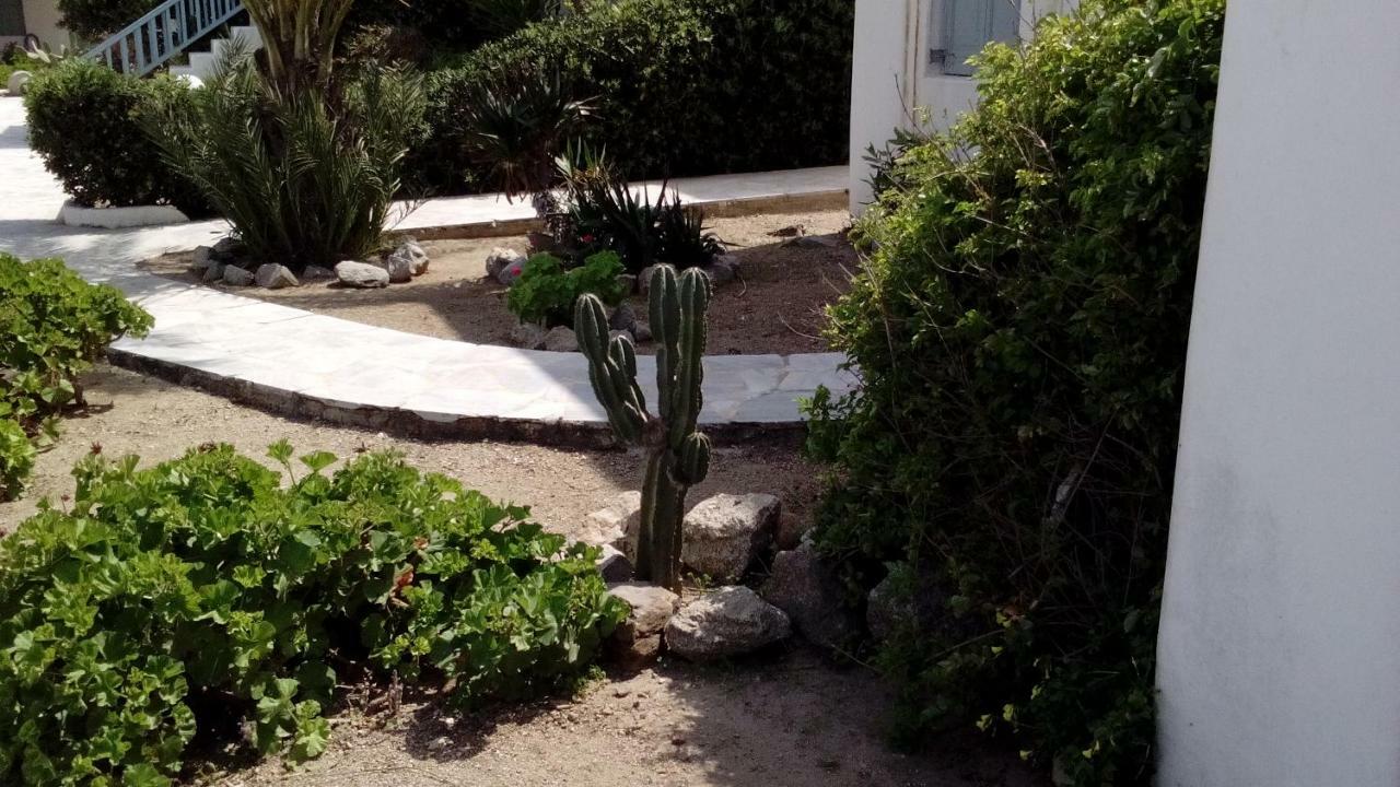 Mykonian Aroma House Apartment Ornos (Mykonos)